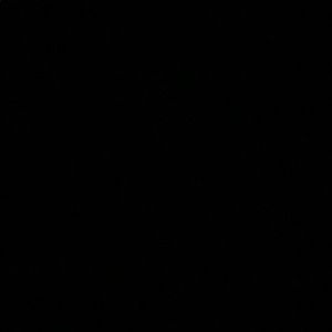 Meet your Posher, Arely